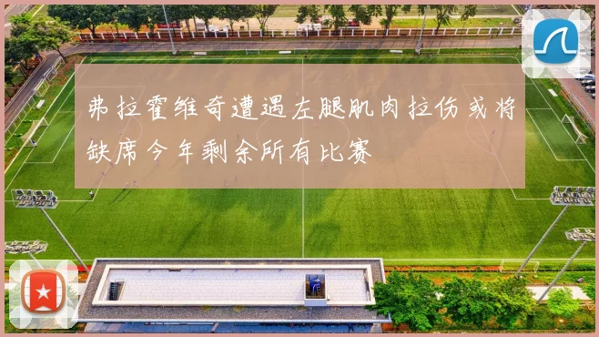 弗拉霍维奇遭遇左腿肌肉拉伤或将缺席今年剩余所有比赛